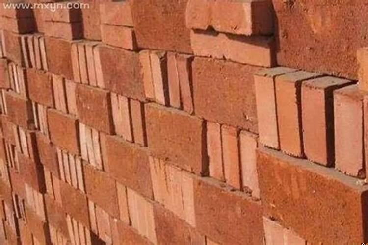 梦见一群狗一直追着我不放