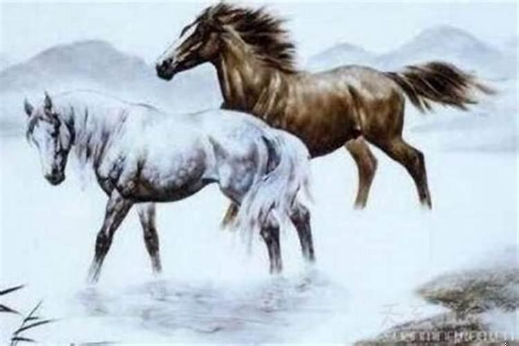 马与马结婚好不好