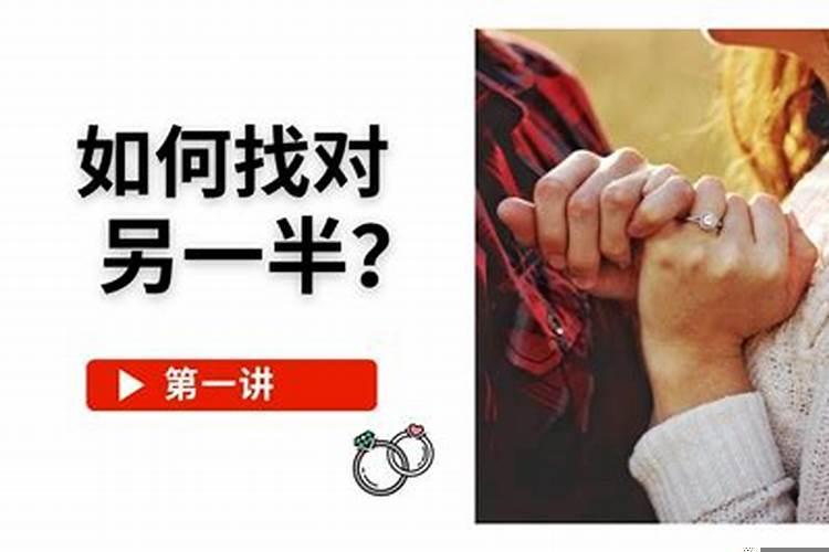 爱情如何选择婚姻如何选择