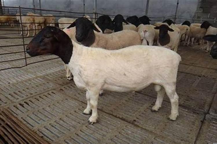 顺治壬辰年是公元几年