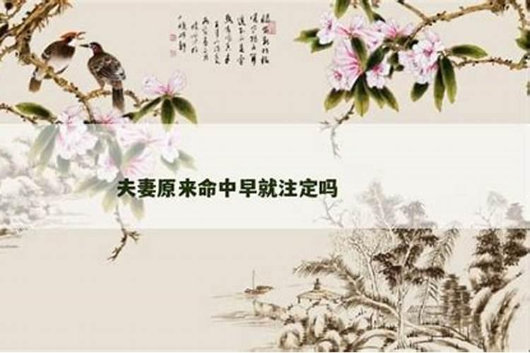 夫妻是上天注定的缘分