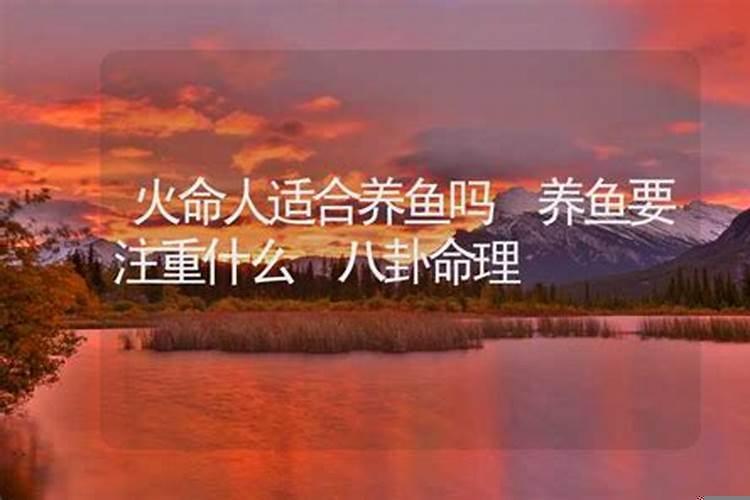 八字缺火适合养鱼吗