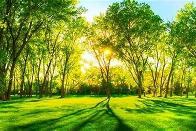 哪些梦是大凶的预兆