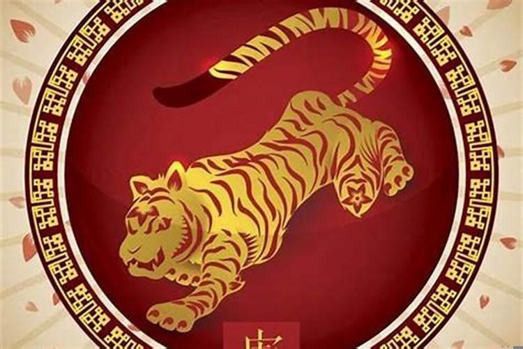 六二年属虎男孩的婚姻与命运