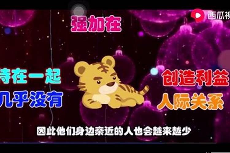 什么生肖晚年凄惨