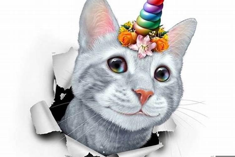 梦到弟弟生病很严重