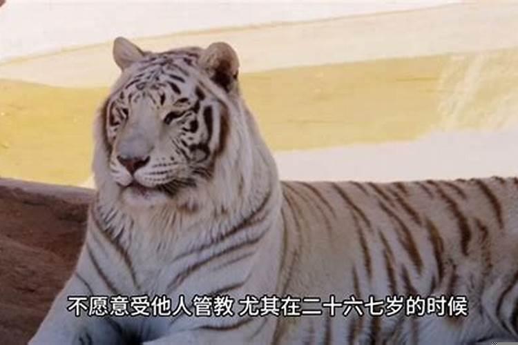 98年属虎有劫几次