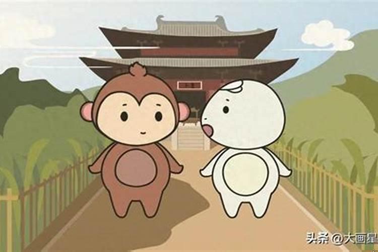 十二生肖互相伤害的生肖