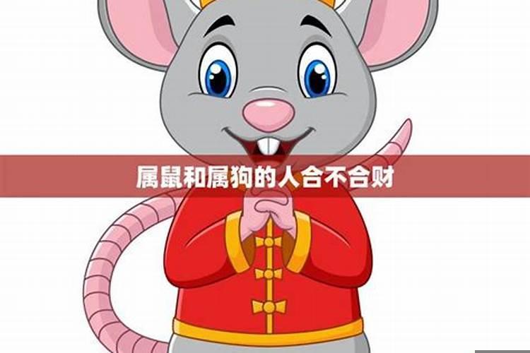 属鼠和属鸡的合不合