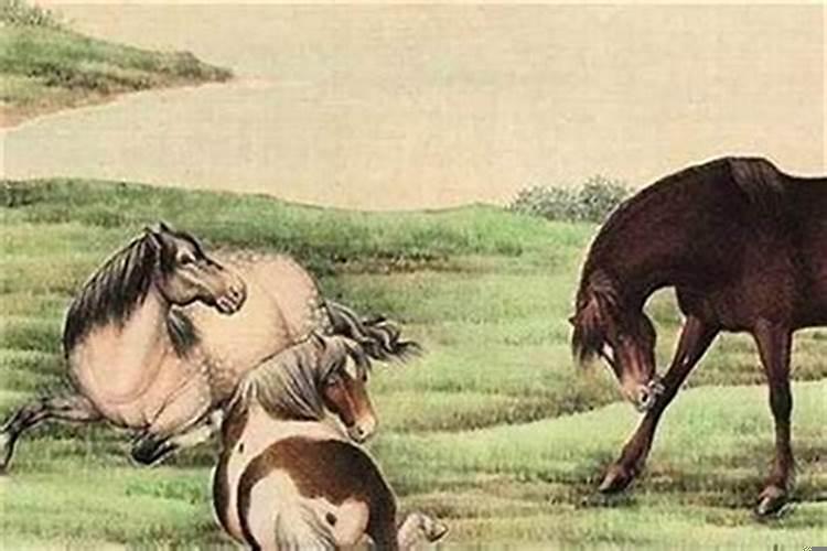 马与马结婚好不好