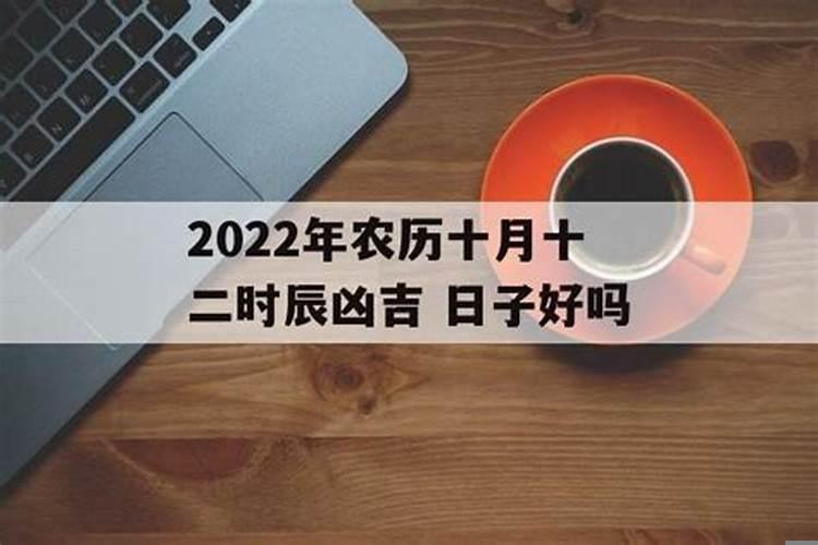 2020年12月建猪圈的好日子