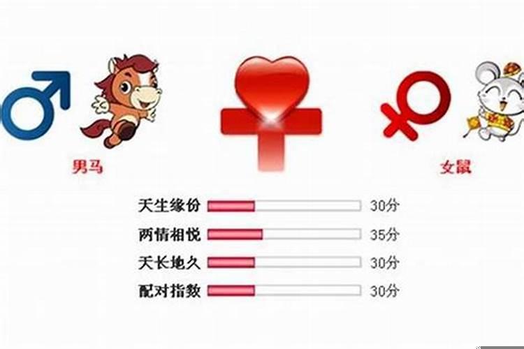 属马的跟属老鼠的合得来吗?