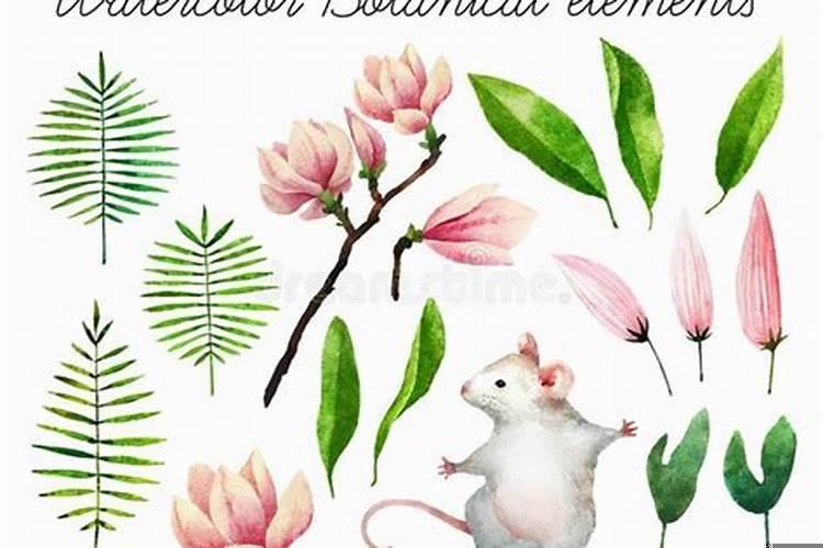 属鼠的人2025年可以结婚吗