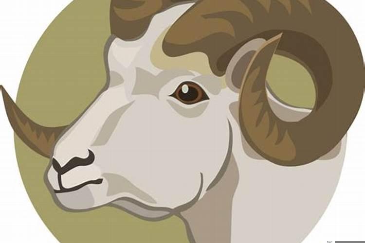 属羊的属于哪一年出生的