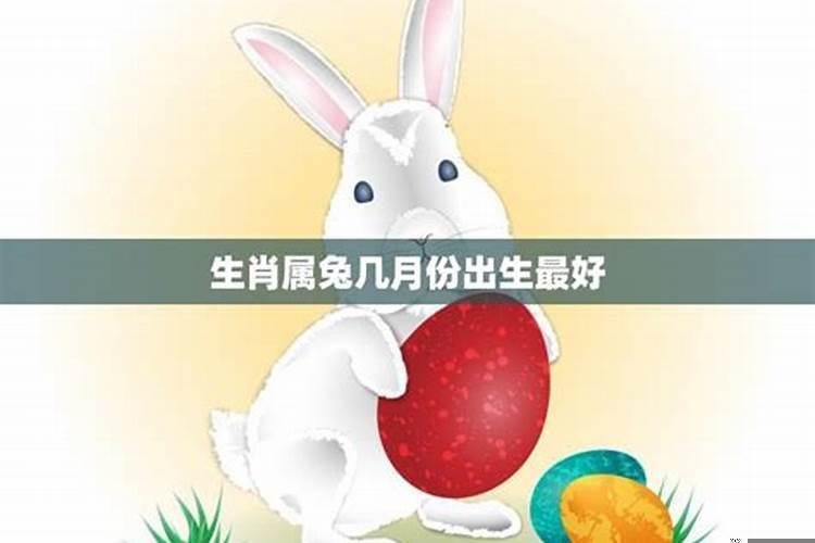 属兔人几时出生大富大贵