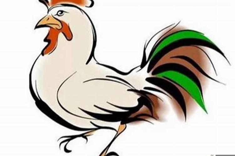 属鸡的男人有什么不好