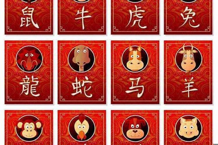 属牛属鼠结婚忌讳什么属相