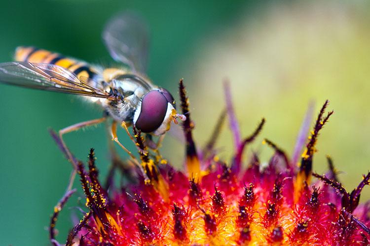 朋友被小人骂,怎安抚