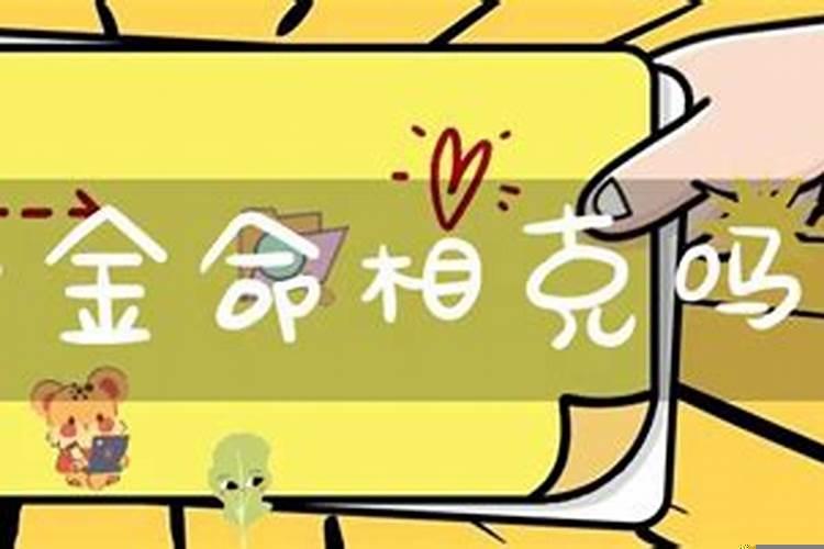 龙与马与狗相合吗婚姻