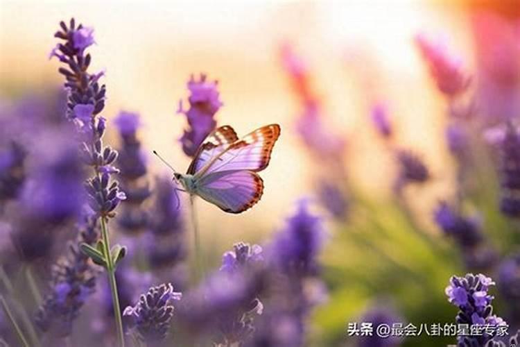 天蝎和摩羯座合不合友情