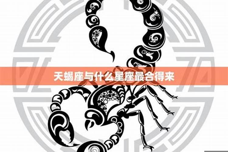 天蝎和摩羯座合不合友情