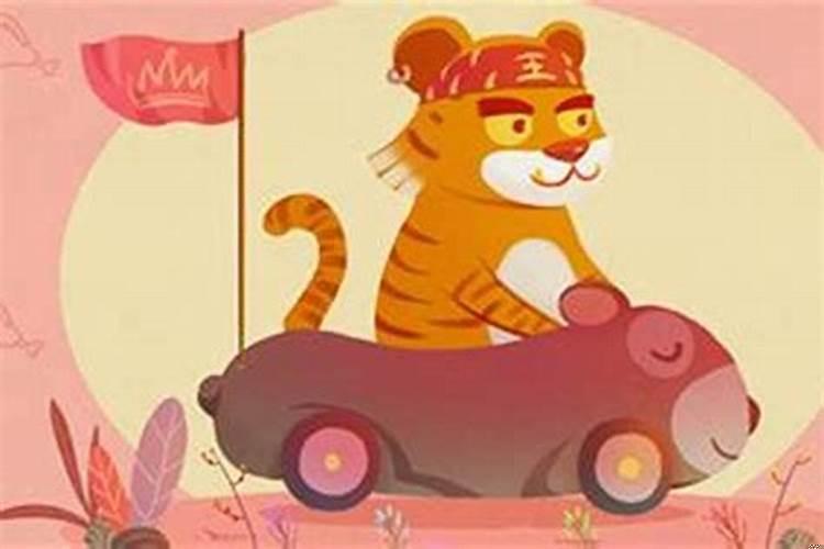 属虎的今年本命年吗