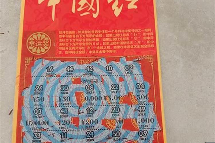 梦见被蛇追着咬什么预兆解梦