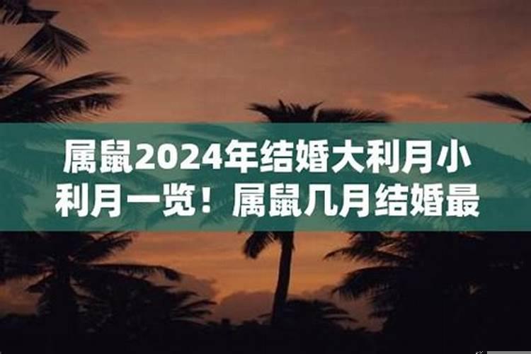 属鼠的哪个月份结婚好