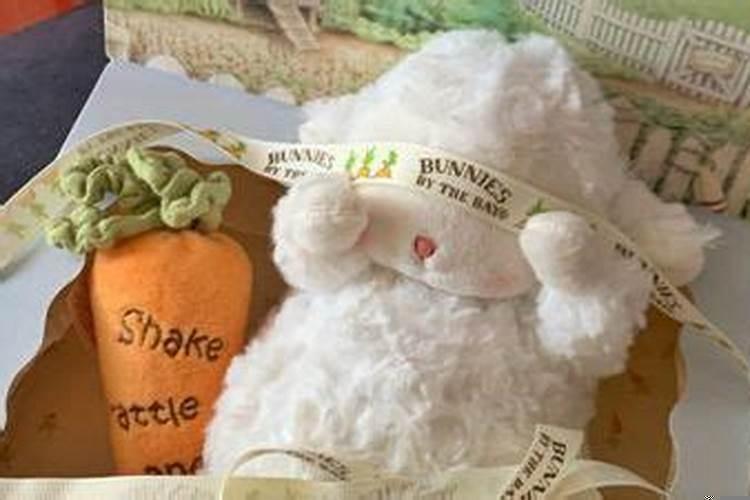 属羊什么时候运起大运