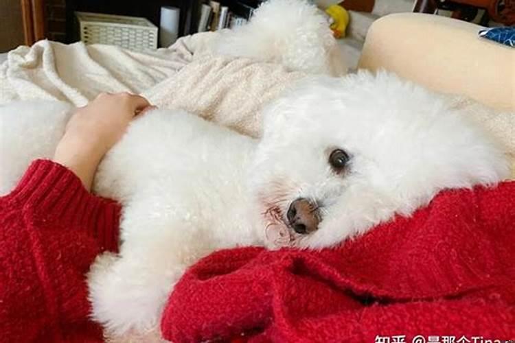 住在脏乱差的房子里