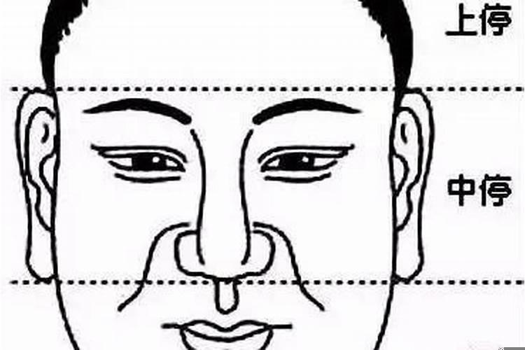 鼻子大有福气还是有福气吗