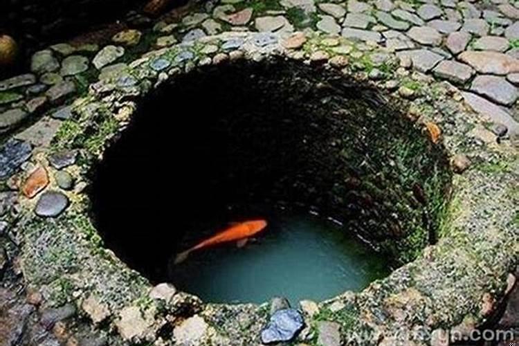 梦见井水是什么意思有什么预兆