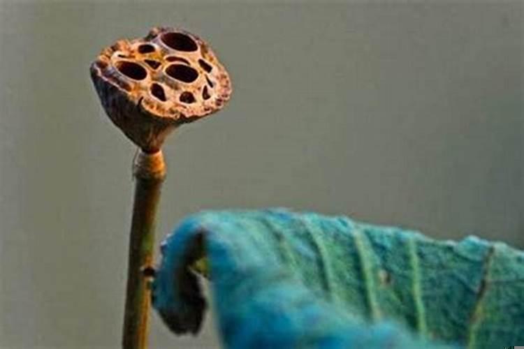 有的人运气为什么这么好?