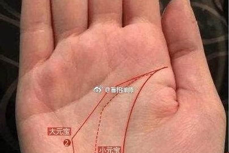 哪种手相财运好