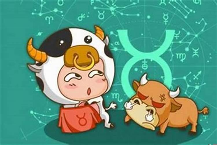 属龙金牛男爱情特点