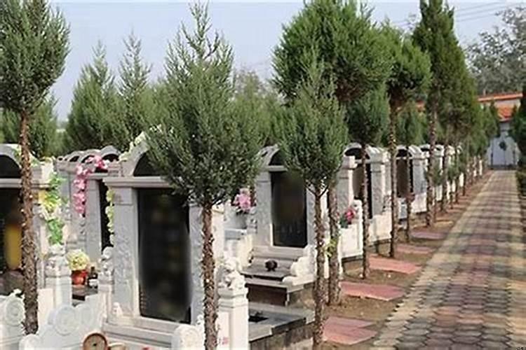 墓地哪个朝向最好吉利