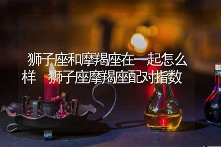 狮子座和摩羯座哪个好点