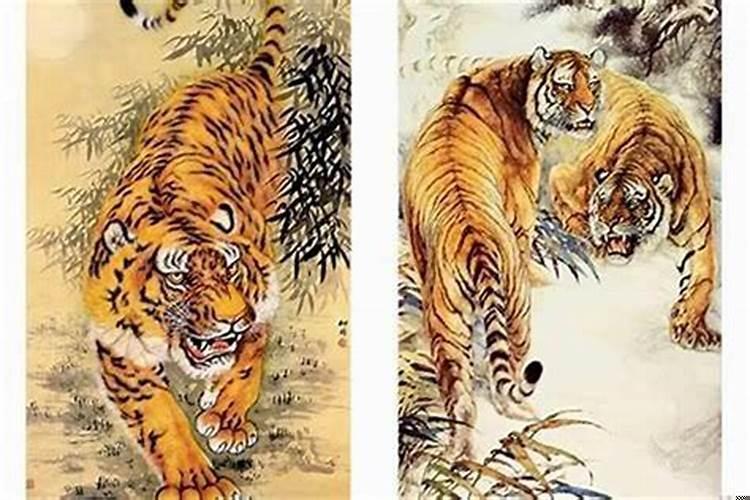 下山虎和上山虎有什么区别