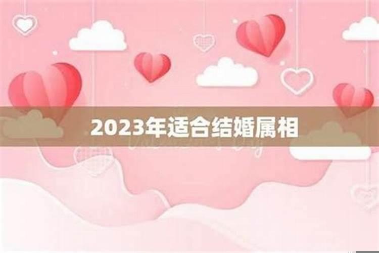 2020年不适合婚嫁的属相