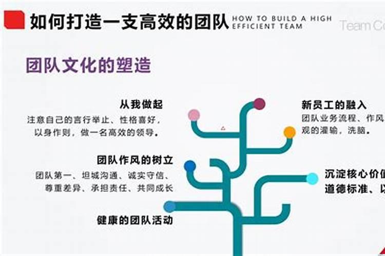 如何打造高效团队的方式方法