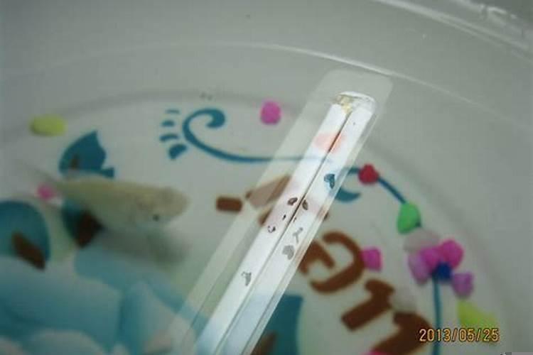 如何知道鱼有没有怀孕