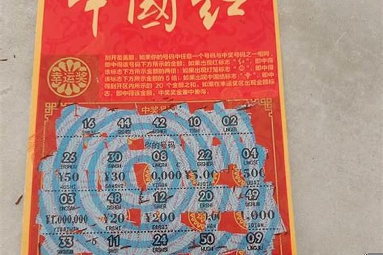 梦见被蛇追着咬什么预兆解梦