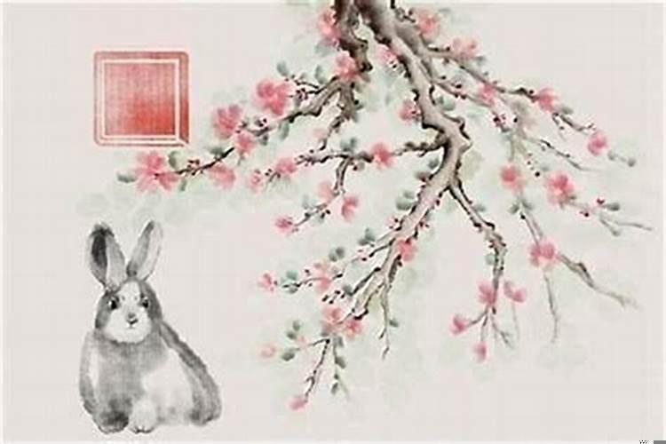 属兔住几层楼风水最好属相