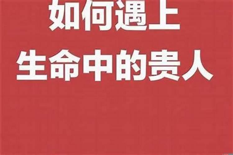 人生需要贵人指路