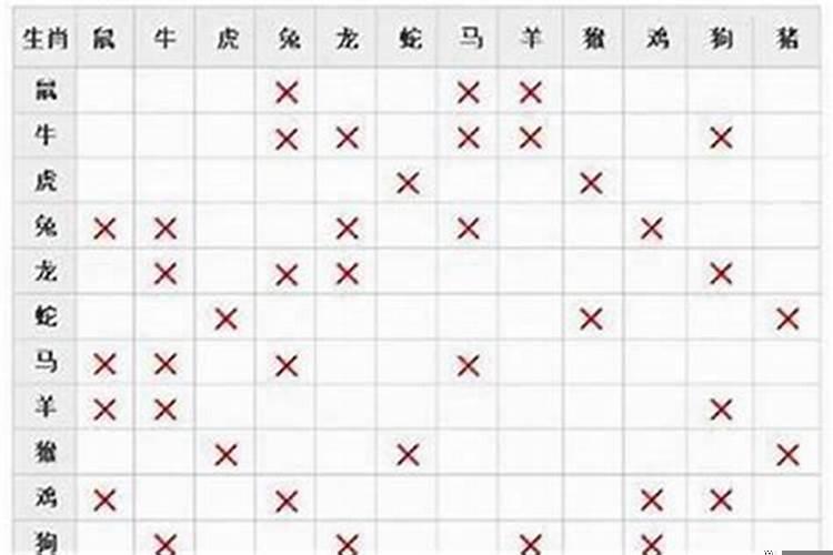 生肖马的爱情婚姻配对