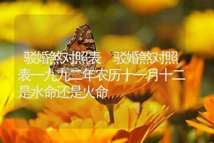 驳婚煞过了年龄就好了