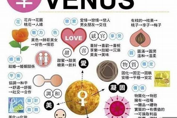 金星摩羯婚神处女