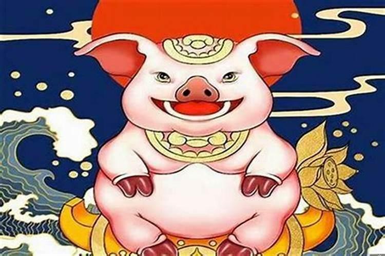 属猪三月生日好吗