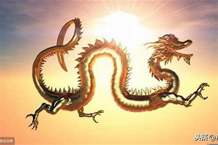 龙是哪年的1988年多大