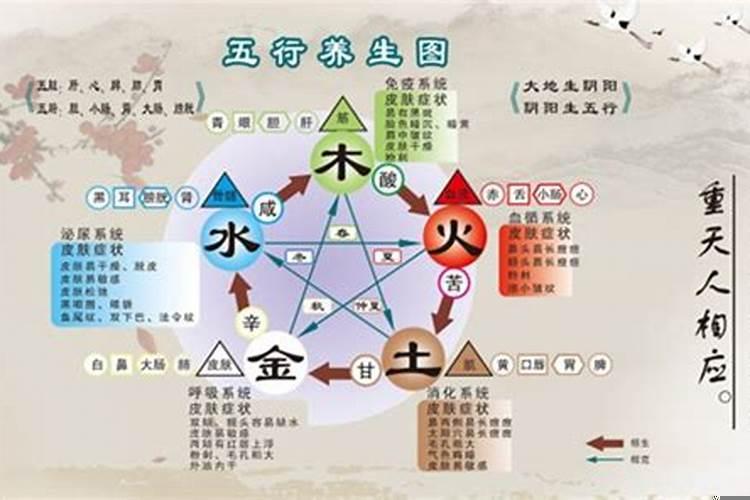 牛年的人用什么数字旺